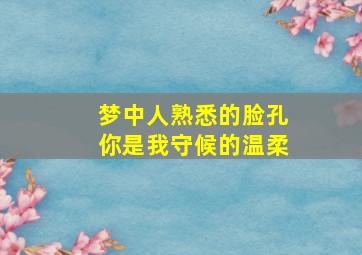 梦中人熟悉的脸孔你是我守候的温柔