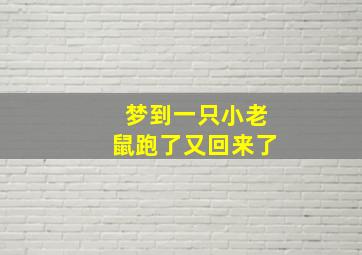 梦到一只小老鼠跑了又回来了