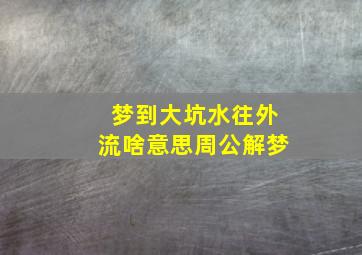 梦到大坑水往外流啥意思周公解梦