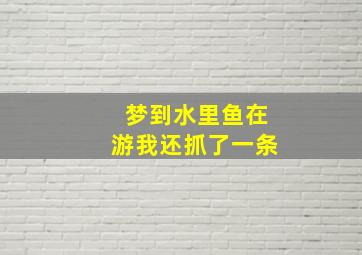 梦到水里鱼在游我还抓了一条