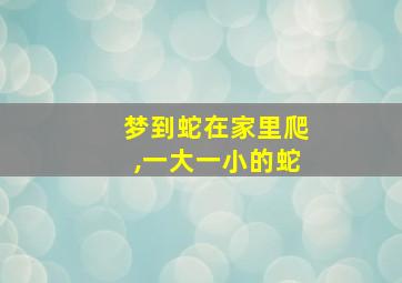 梦到蛇在家里爬,一大一小的蛇