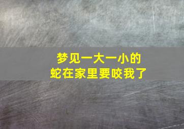 梦见一大一小的蛇在家里要咬我了