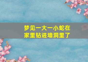 梦见一大一小蛇在家里钻进墙洞里了