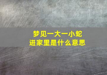 梦见一大一小蛇进家里是什么意思