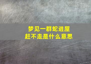 梦见一群蛇进屋赶不走是什么意思