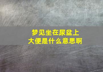 梦见坐在尿盆上大便是什么意思啊