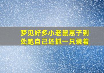 梦见好多小老鼠崽子到处跑自己还抓一只装着