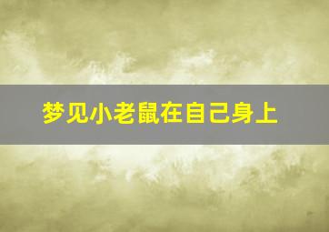 梦见小老鼠在自己身上