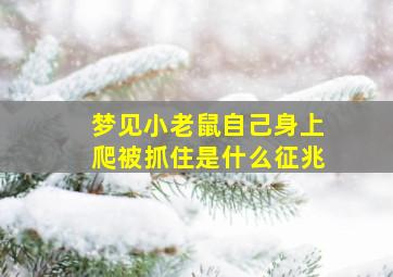 梦见小老鼠自己身上爬被抓住是什么征兆