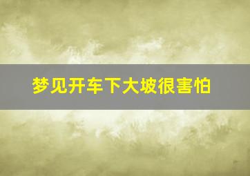 梦见开车下大坡很害怕