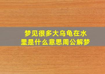 梦见很多大乌龟在水里是什么意思周公解梦