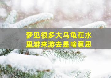 梦见很多大乌龟在水里游来游去是啥意思