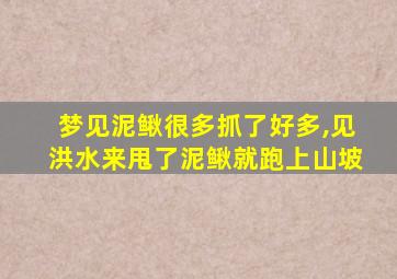 梦见泥鳅很多抓了好多,见洪水来甩了泥鳅就跑上山坡