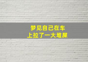 梦见自己在车上拉了一大堆屎