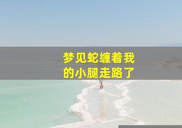 梦见蛇缠着我的小腿走路了