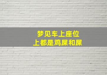 梦见车上座位上都是鸡屎和屎