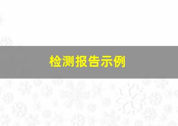 检测报告示例