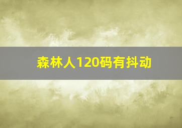 森林人120码有抖动