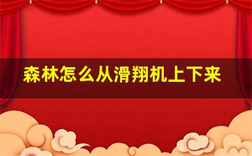 森林怎么从滑翔机上下来