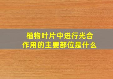 植物叶片中进行光合作用的主要部位是什么