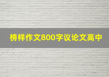 榜样作文800字议论文高中