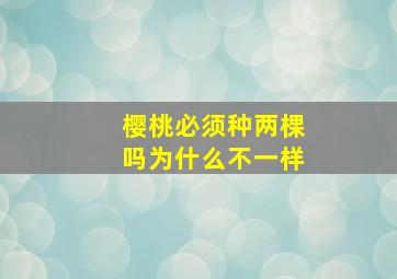 樱桃必须种两棵吗为什么不一样