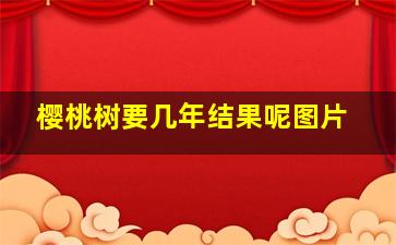 樱桃树要几年结果呢图片