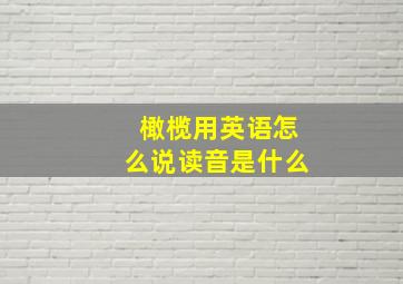 橄榄用英语怎么说读音是什么