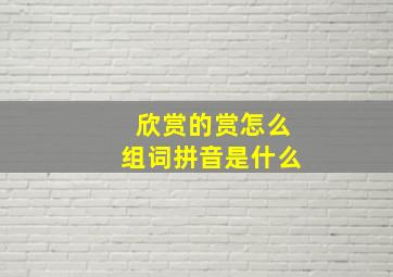 欣赏的赏怎么组词拼音是什么