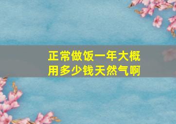 正常做饭一年大概用多少钱天然气啊