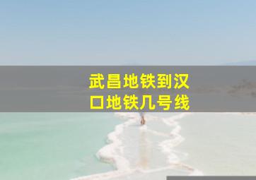 武昌地铁到汉口地铁几号线