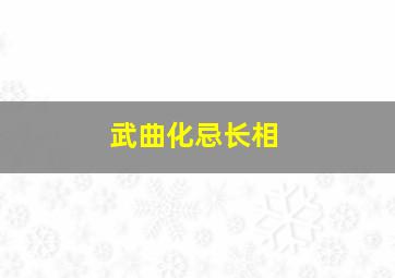 武曲化忌长相