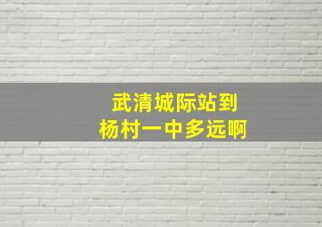 武清城际站到杨村一中多远啊