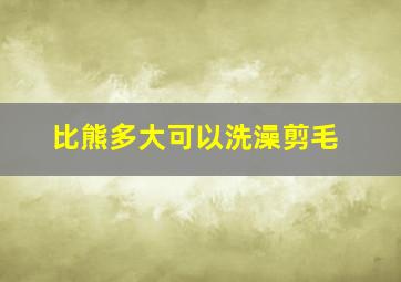 比熊多大可以洗澡剪毛