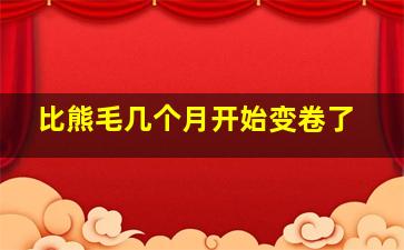 比熊毛几个月开始变卷了