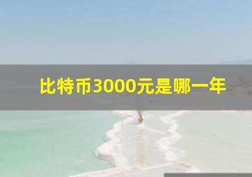 比特币3000元是哪一年