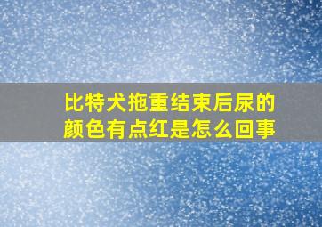 比特犬拖重结束后尿的颜色有点红是怎么回事