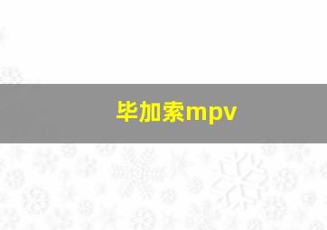 毕加索mpv