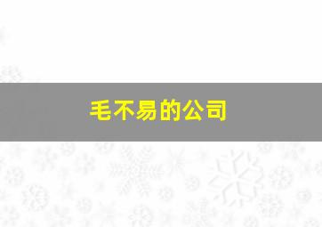 毛不易的公司