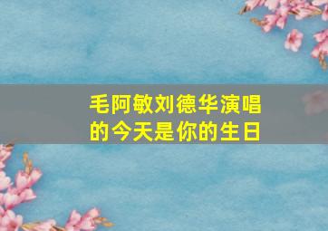 毛阿敏刘德华演唱的今天是你的生日