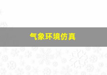 气象环境仿真