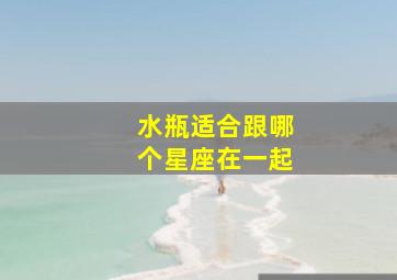 水瓶适合跟哪个星座在一起