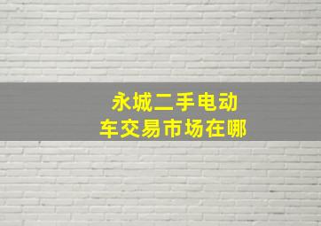 永城二手电动车交易市场在哪