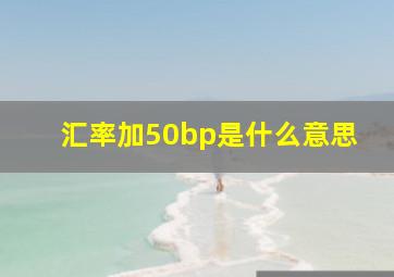 汇率加50bp是什么意思