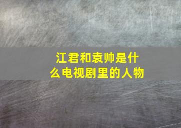 江君和袁帅是什么电视剧里的人物