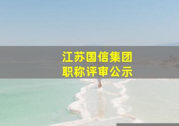 江苏国信集团职称评审公示