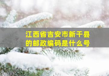 江西省吉安市新干县的邮政编码是什么号