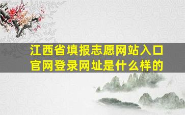 江西省填报志愿网站入口官网登录网址是什么样的