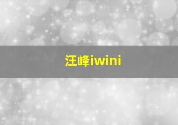 汪峰iwini