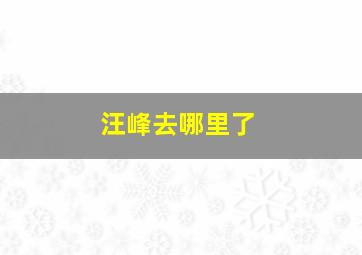 汪峰去哪里了